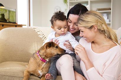 LGBT Family Law Image